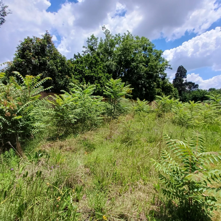 0 Bedroom Property for Sale in Henley on Klip Gauteng