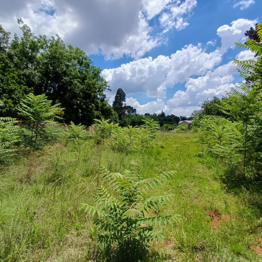 0 Bedroom Property for Sale in Henley on Klip Gauteng