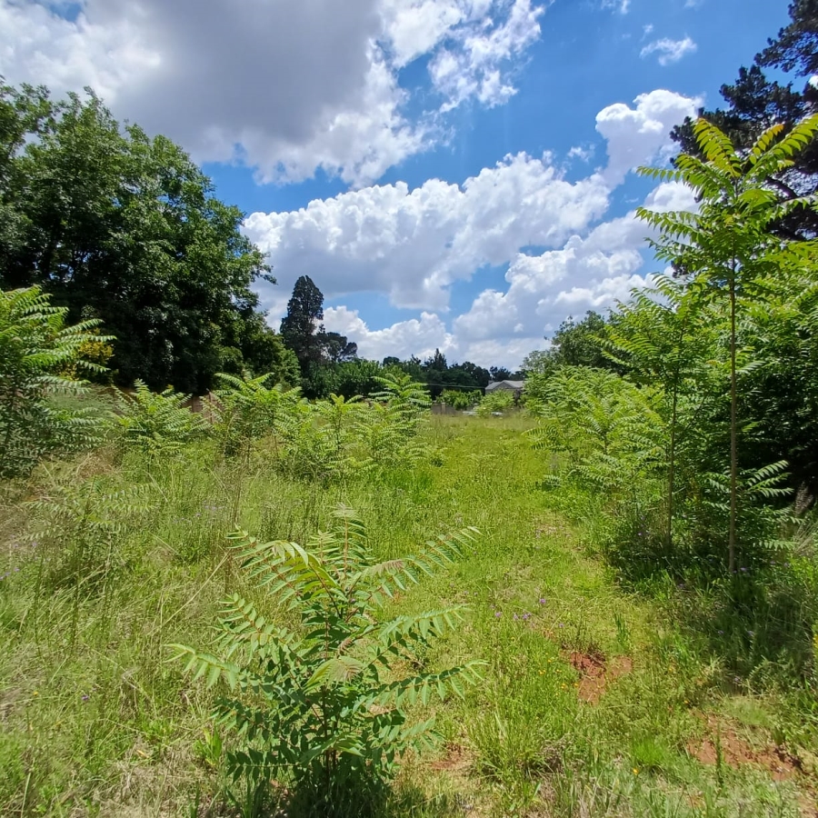 0 Bedroom Property for Sale in Henley on Klip Gauteng