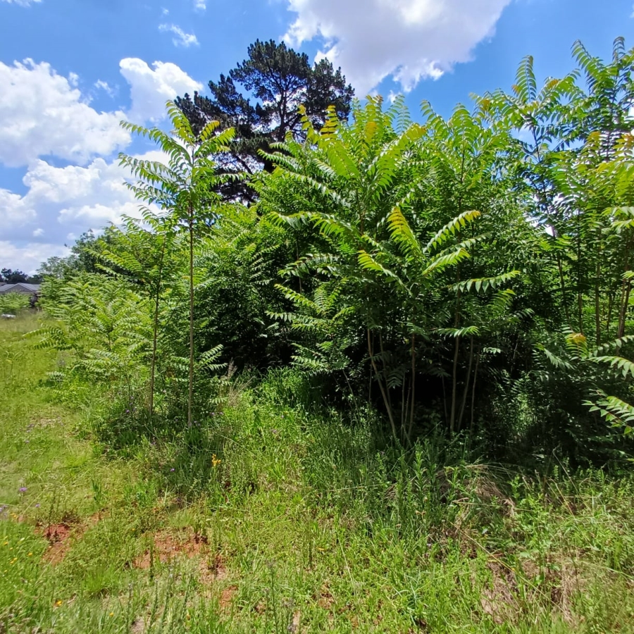 0 Bedroom Property for Sale in Henley on Klip Gauteng