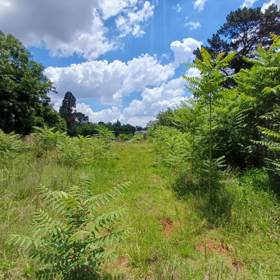 0 Bedroom Property for Sale in Henley on Klip Gauteng