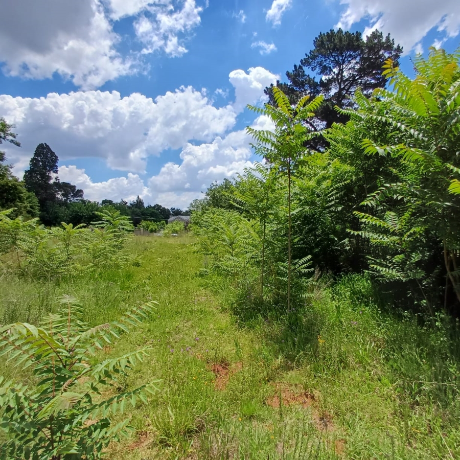 0 Bedroom Property for Sale in Henley on Klip Gauteng