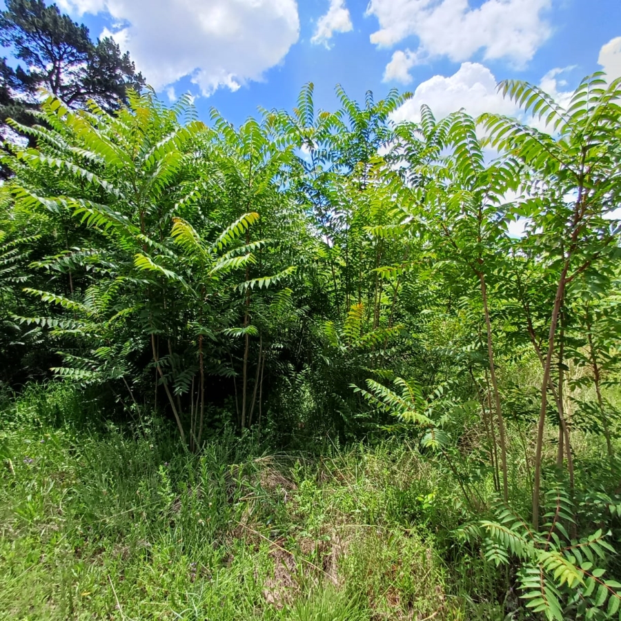 0 Bedroom Property for Sale in Henley on Klip Gauteng