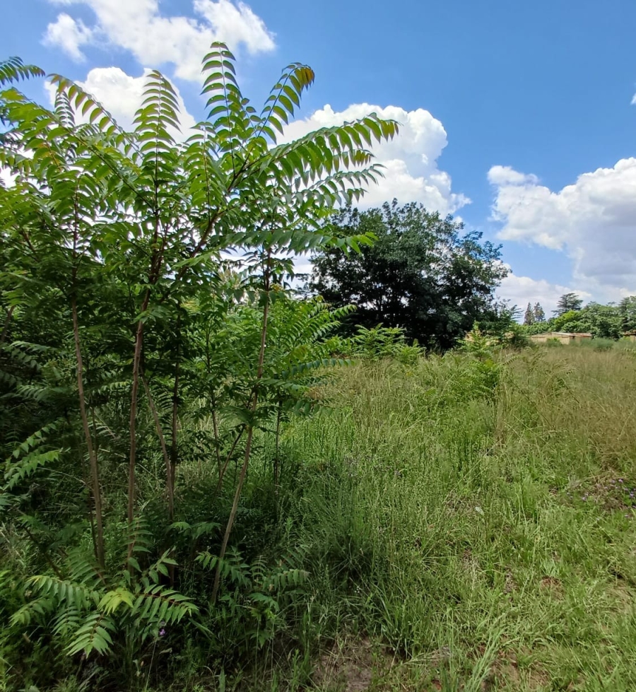 0 Bedroom Property for Sale in Henley on Klip Gauteng