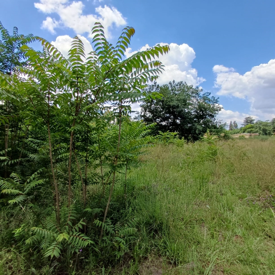 0 Bedroom Property for Sale in Henley on Klip Gauteng