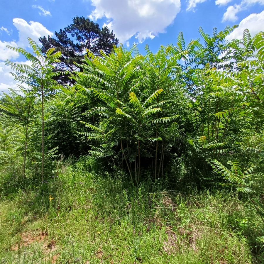 0 Bedroom Property for Sale in Henley on Klip Gauteng