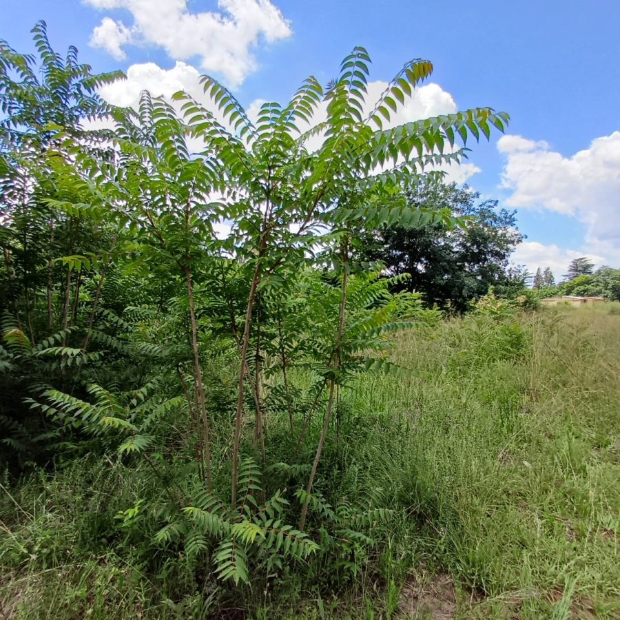 0 Bedroom Property for Sale in Henley on Klip Gauteng