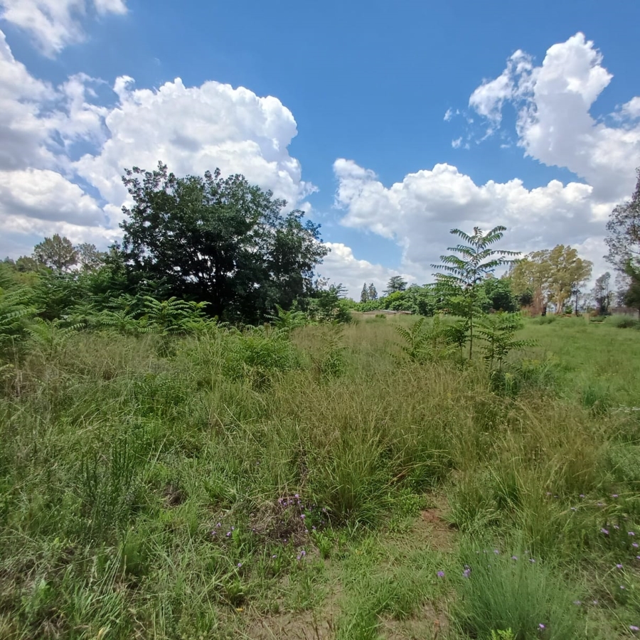 0 Bedroom Property for Sale in Henley on Klip Gauteng