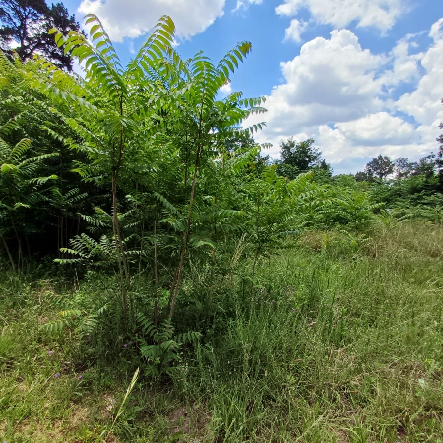 0 Bedroom Property for Sale in Henley on Klip Gauteng