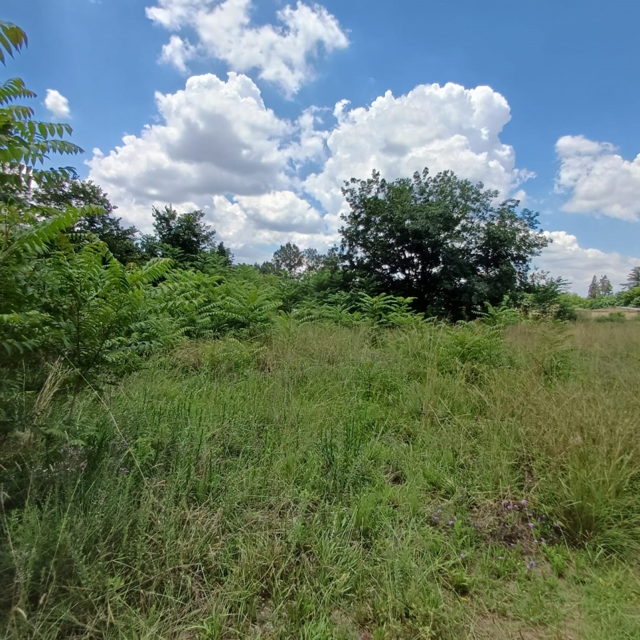 0 Bedroom Property for Sale in Henley on Klip Gauteng