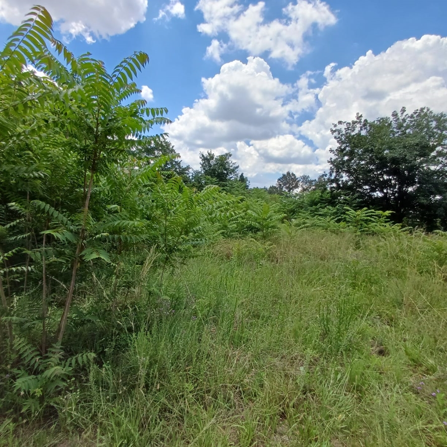 0 Bedroom Property for Sale in Henley on Klip Gauteng