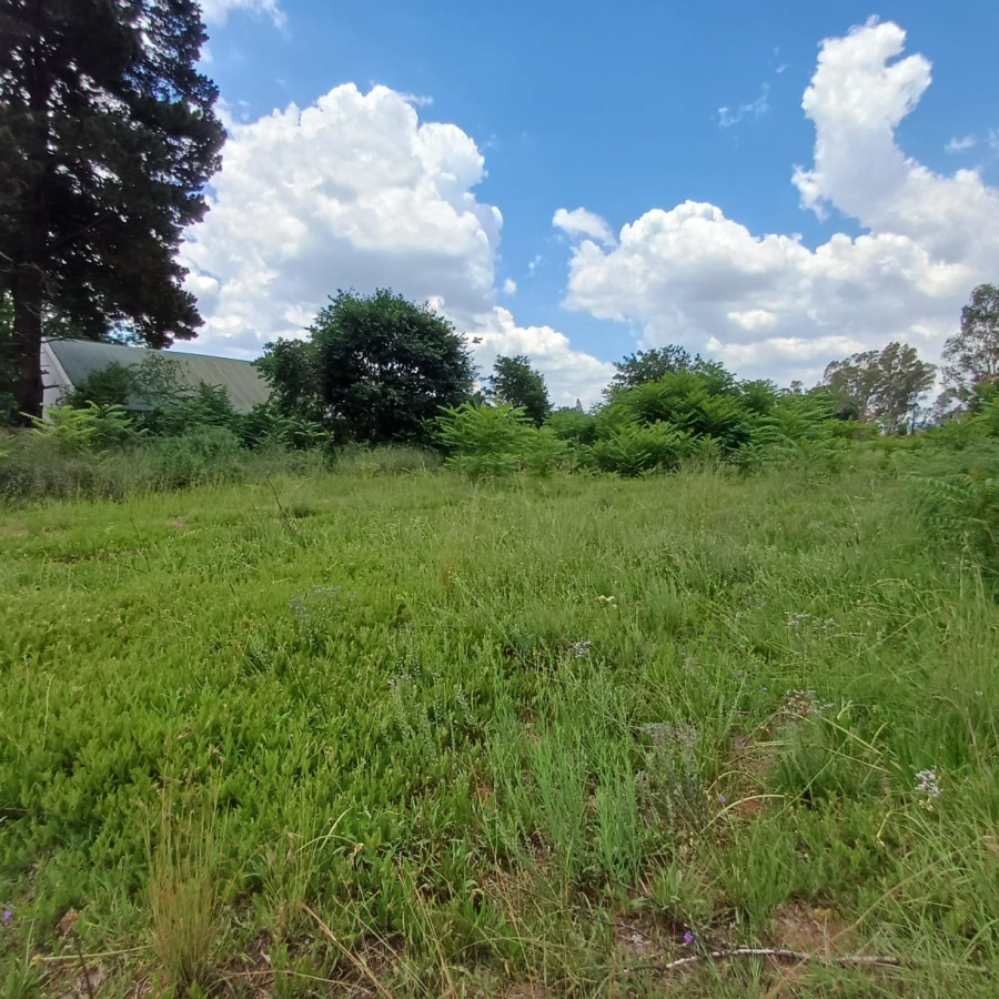 0 Bedroom Property for Sale in Henley on Klip Gauteng