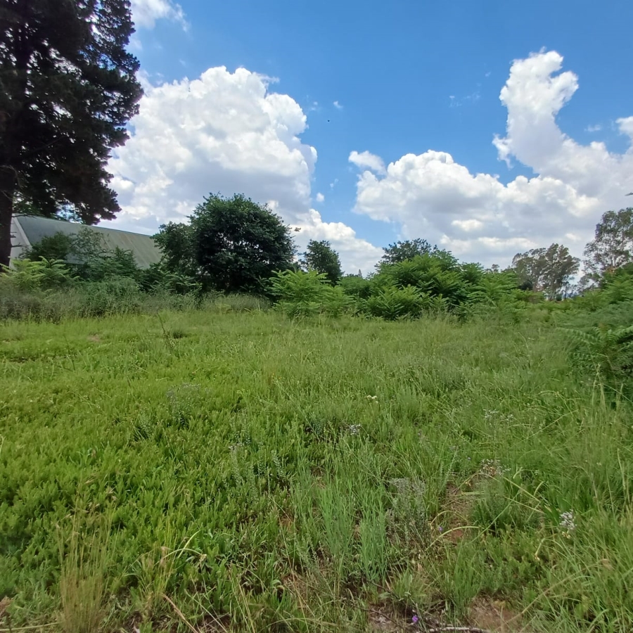 0 Bedroom Property for Sale in Henley on Klip Gauteng