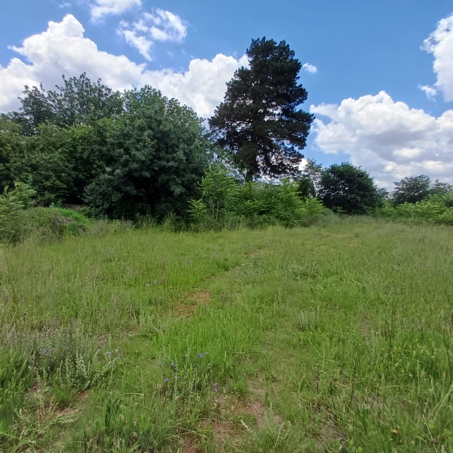 0 Bedroom Property for Sale in Henley on Klip Gauteng