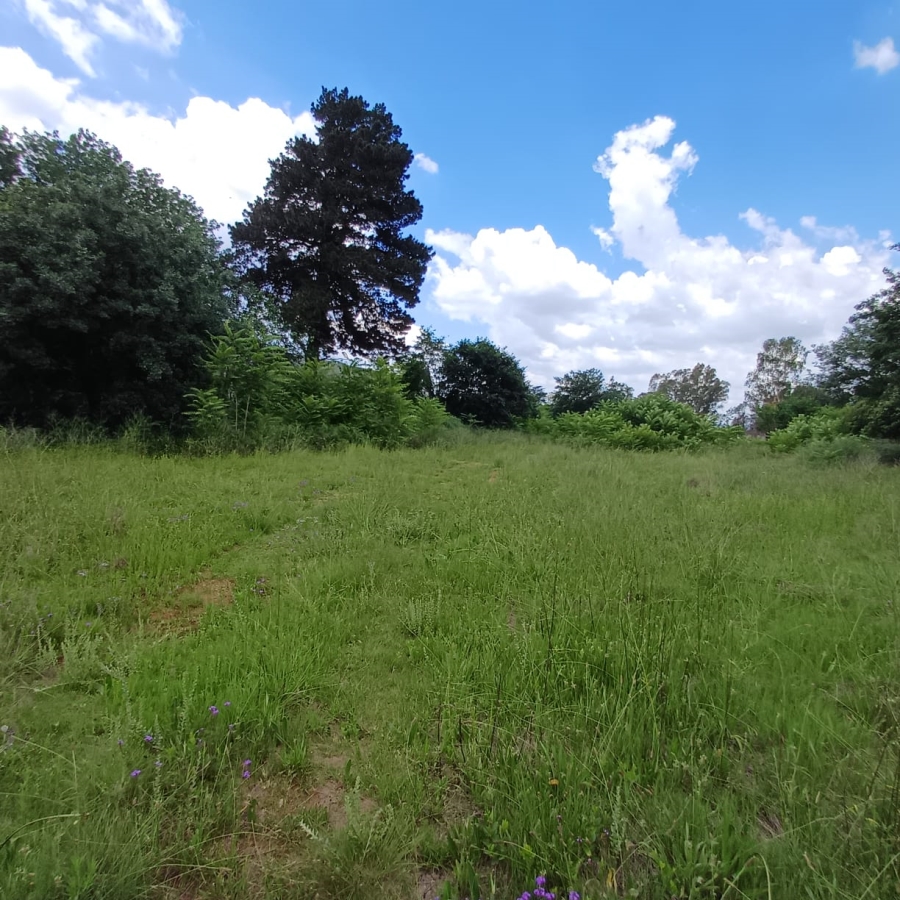 0 Bedroom Property for Sale in Henley on Klip Gauteng