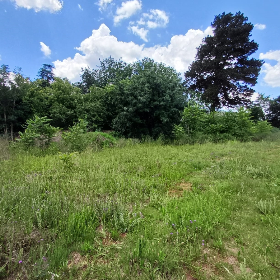 0 Bedroom Property for Sale in Henley on Klip Gauteng