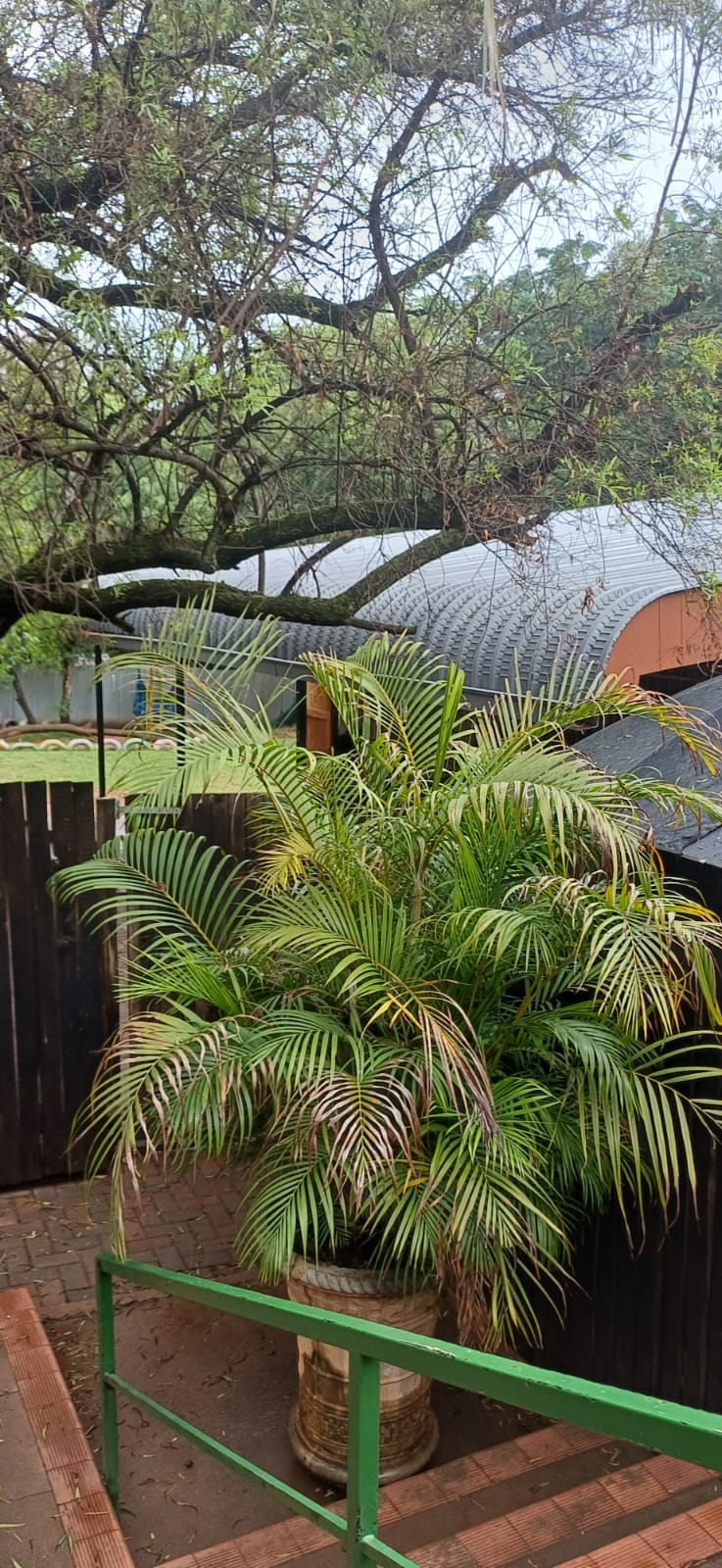 To Let commercial Property for Rent in Kameeldrift East Gauteng