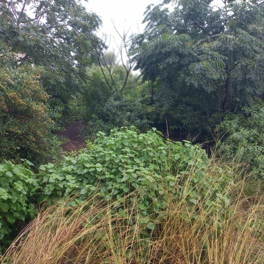 3 Bedroom Property for Sale in Lilyvale Gauteng