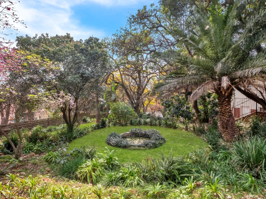 To Let 3 Bedroom Property for Rent in Parktown Gauteng