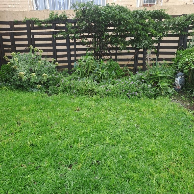 To Let 1 Bedroom Property for Rent in Orange Grove Gauteng