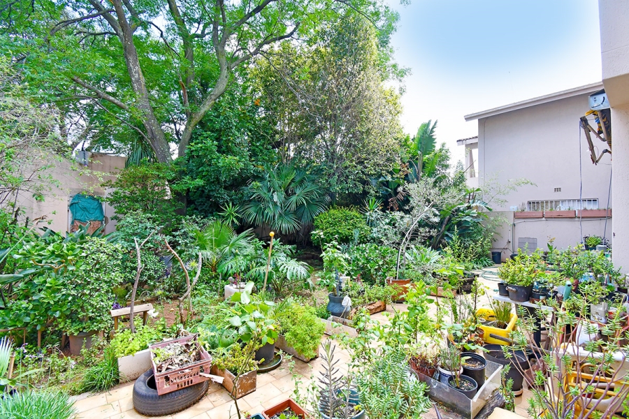 To Let 4 Bedroom Property for Rent in Bruma Gauteng