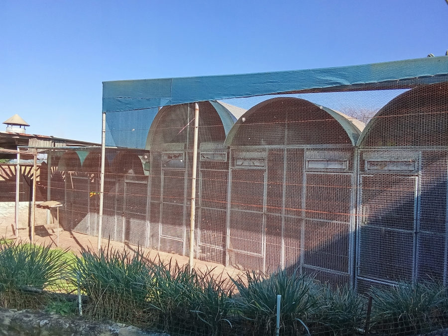 3 Bedroom Property for Sale in Houtkop A H Gauteng