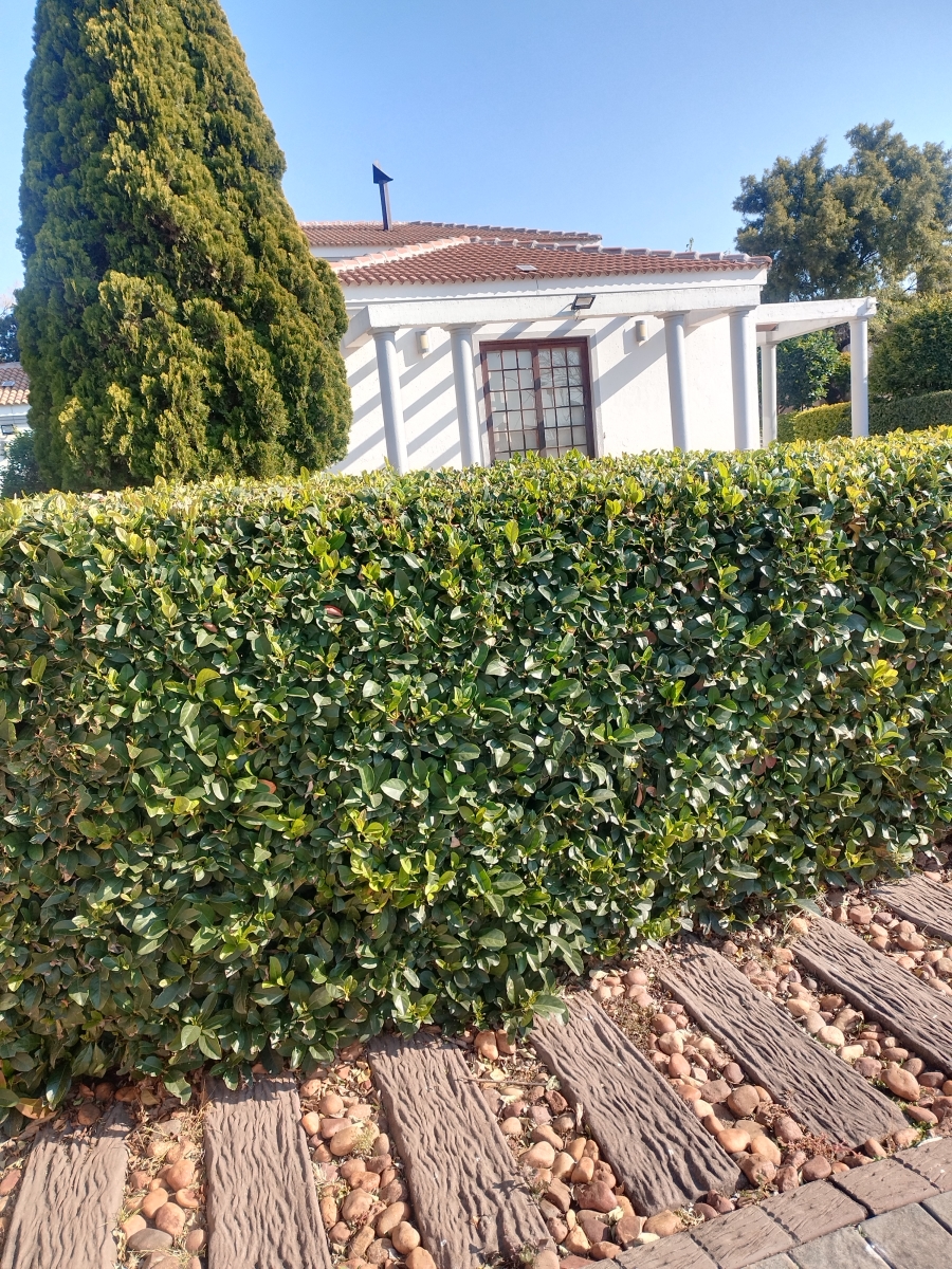 To Let 6 Bedroom Property for Rent in Mondeor Gauteng