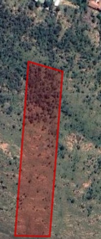 0 Bedroom Property for Sale in Florauna Gauteng