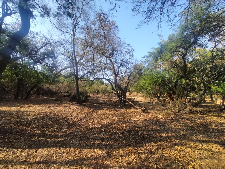 0 Bedroom Property for Sale in Amandasig Gauteng