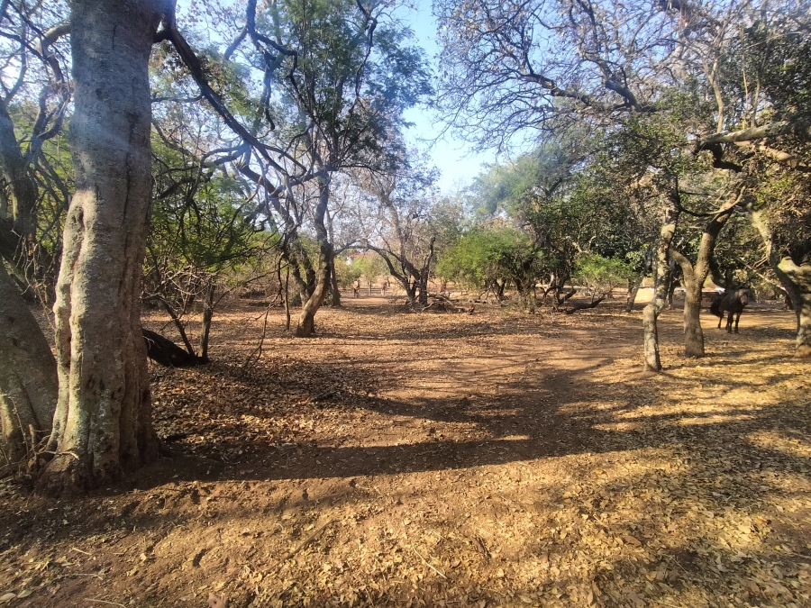 0 Bedroom Property for Sale in Amandasig Gauteng