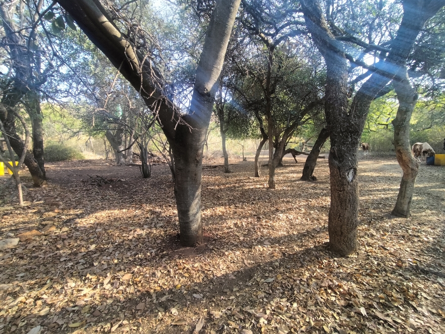 0 Bedroom Property for Sale in Amandasig Gauteng