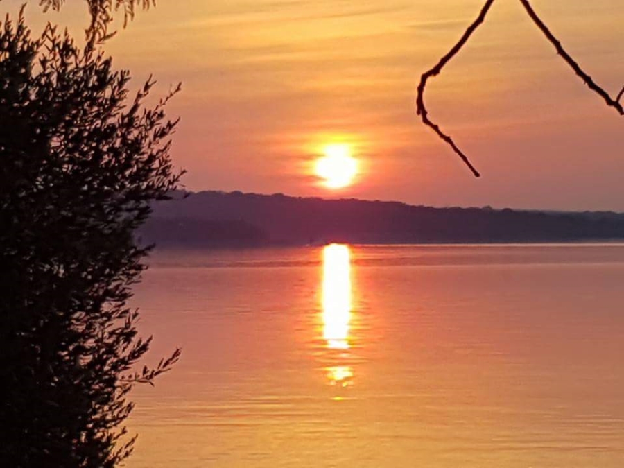 0 Bedroom Property for Sale in Sable Hills Gauteng