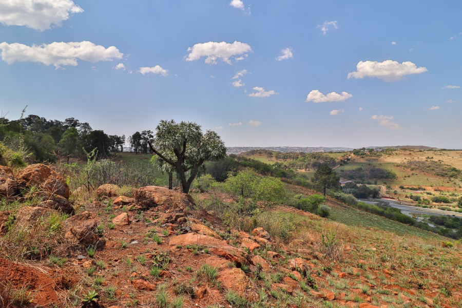 4 Bedroom Property for Sale in Eikenhof Gauteng