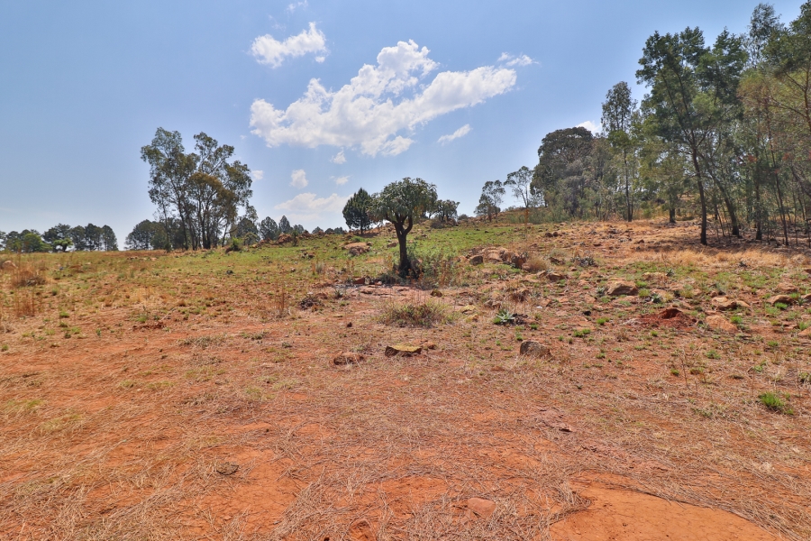 4 Bedroom Property for Sale in Eikenhof Gauteng