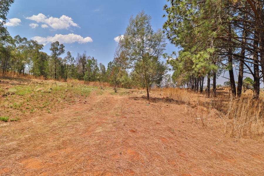 4 Bedroom Property for Sale in Eikenhof Gauteng