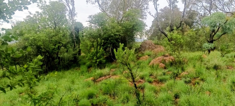 4 Bedroom Property for Sale in Eikenhof Gauteng