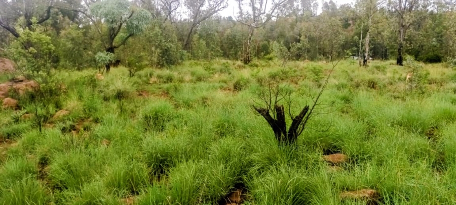 4 Bedroom Property for Sale in Eikenhof Gauteng