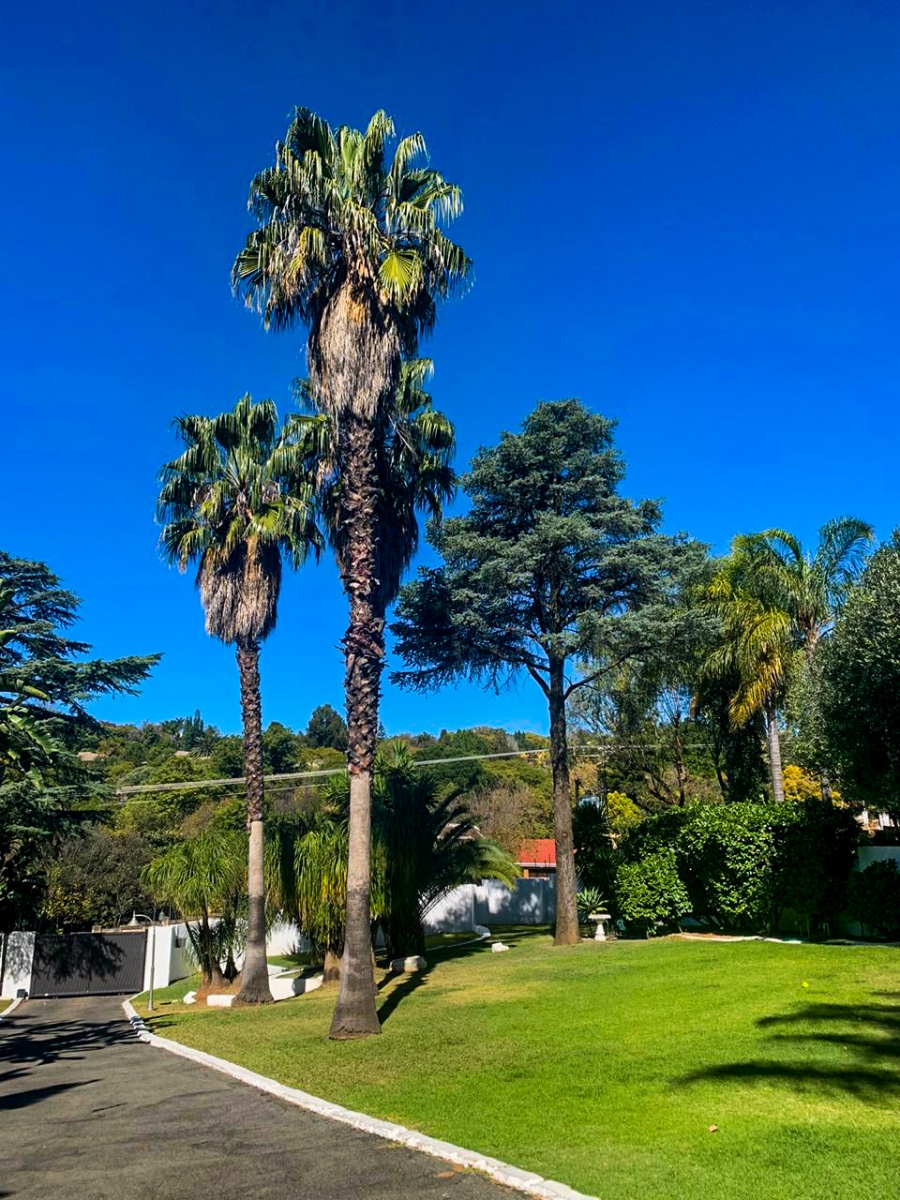 To Let 4 Bedroom Property for Rent in Waterkloof Ridge Gauteng