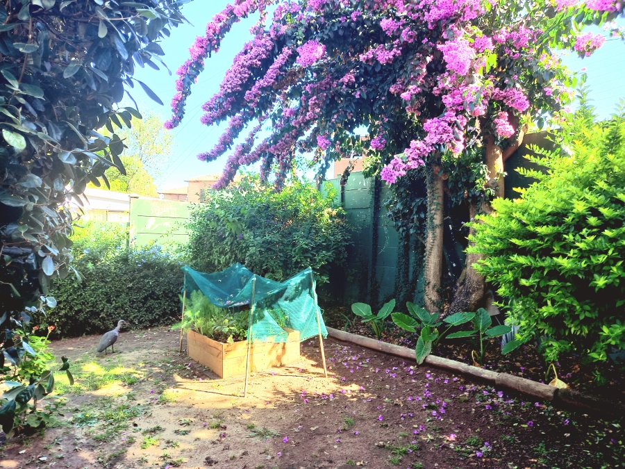 To Let 2 Bedroom Property for Rent in Randpark Gauteng