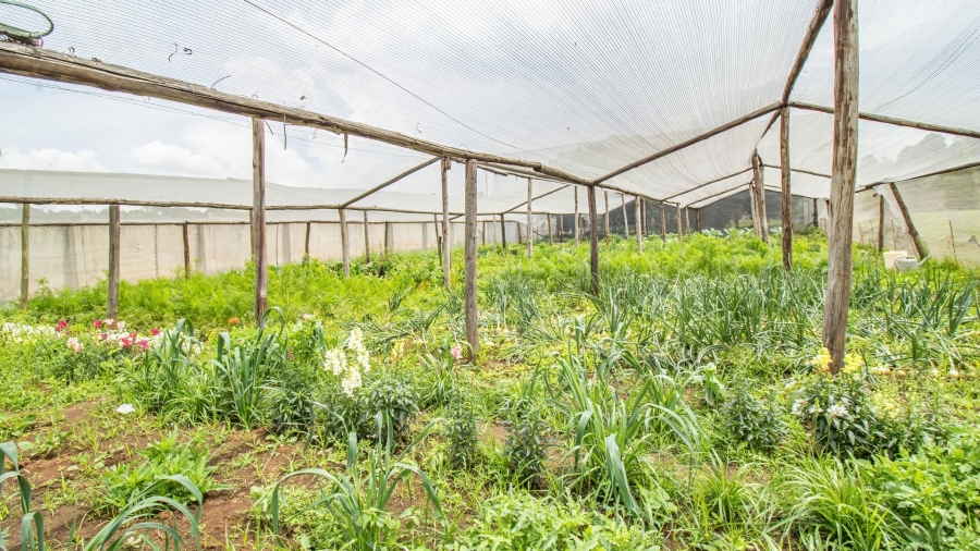 5 Bedroom Property for Sale in Golf View Gauteng