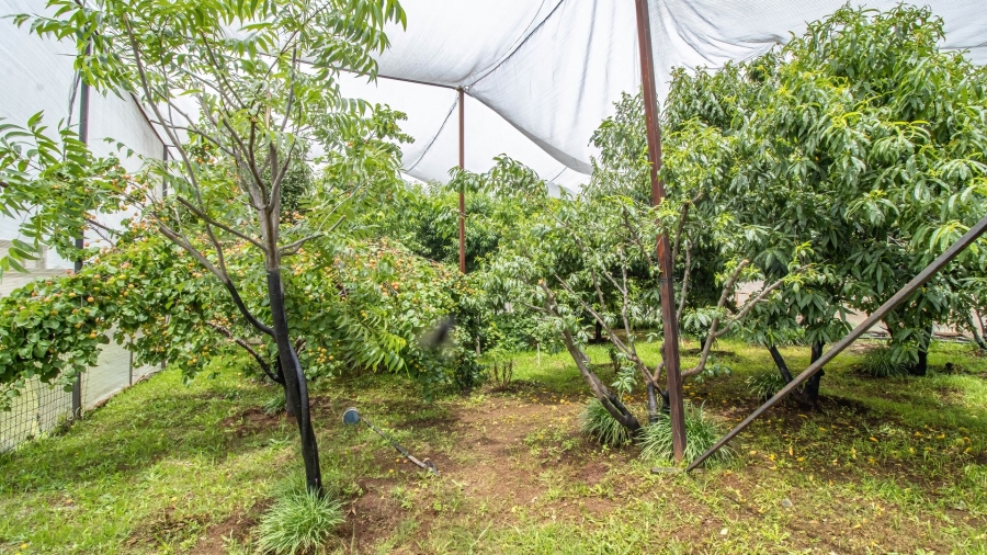 5 Bedroom Property for Sale in Golf View Gauteng