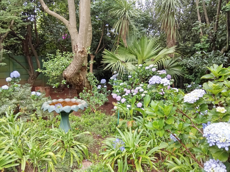 3 Bedroom Property for Sale in Horison Gauteng