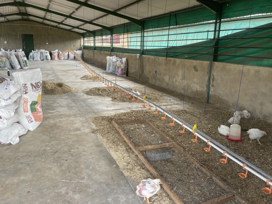 7 Bedroom Property for Sale in Homestead Apple Orchards Gauteng