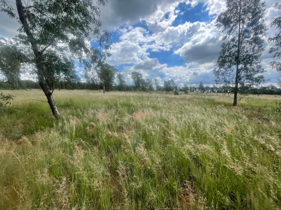 0 Bedroom Property for Sale in Alewynspoort Gauteng