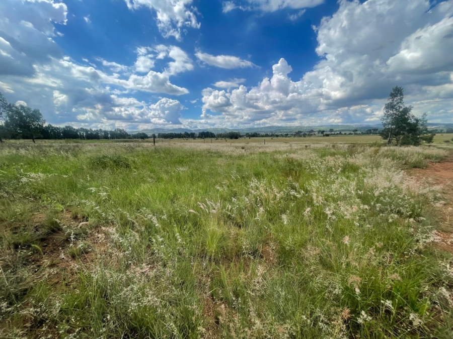 0 Bedroom Property for Sale in Alewynspoort Gauteng