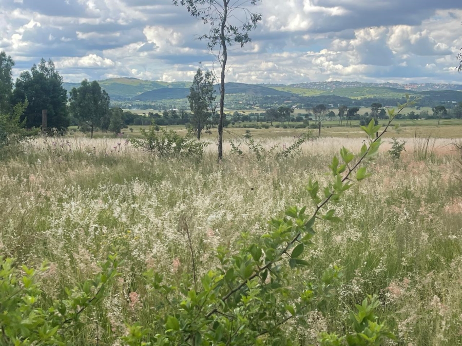 0 Bedroom Property for Sale in Alewynspoort Gauteng