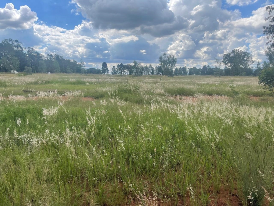 0 Bedroom Property for Sale in Alewynspoort Gauteng