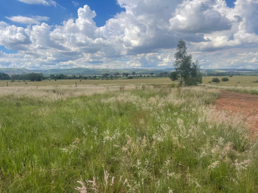 0 Bedroom Property for Sale in Alewynspoort Gauteng