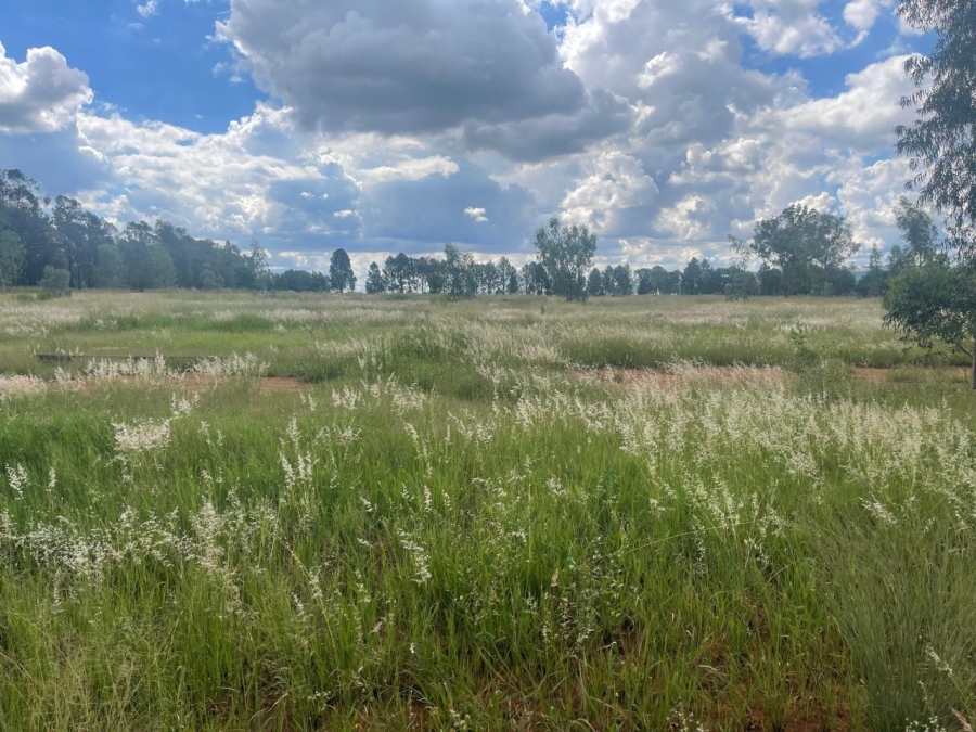 0 Bedroom Property for Sale in Alewynspoort Gauteng