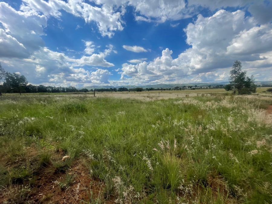 0 Bedroom Property for Sale in Alewynspoort Gauteng